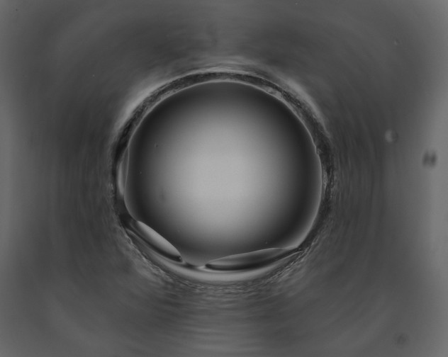 X0000091531360200708241702