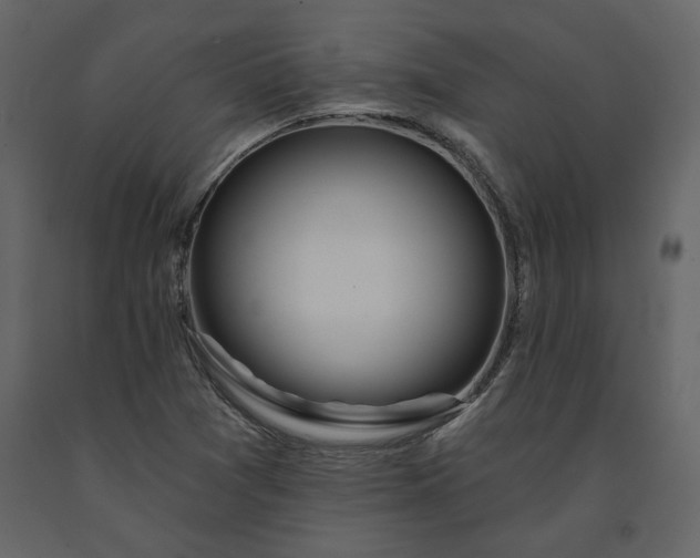 X0000091531361200708241702