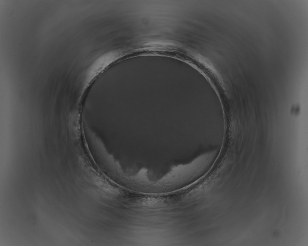 X0000091531362200708241702