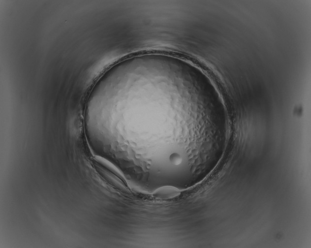 X0000091531363200708241702