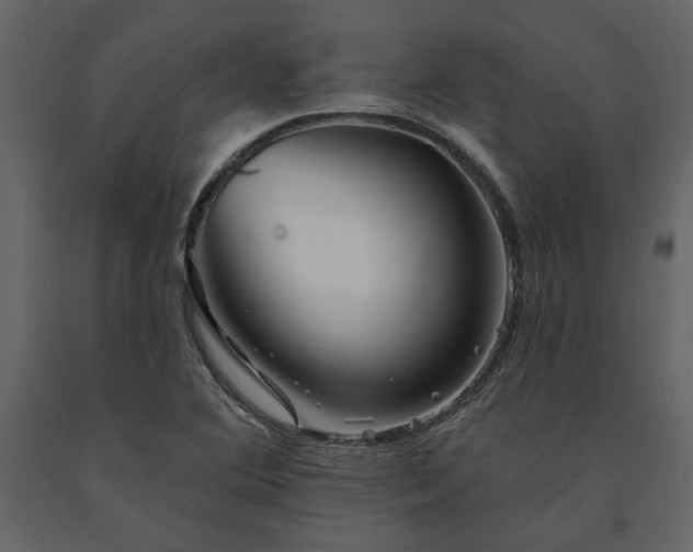 X0000091531364200708241702