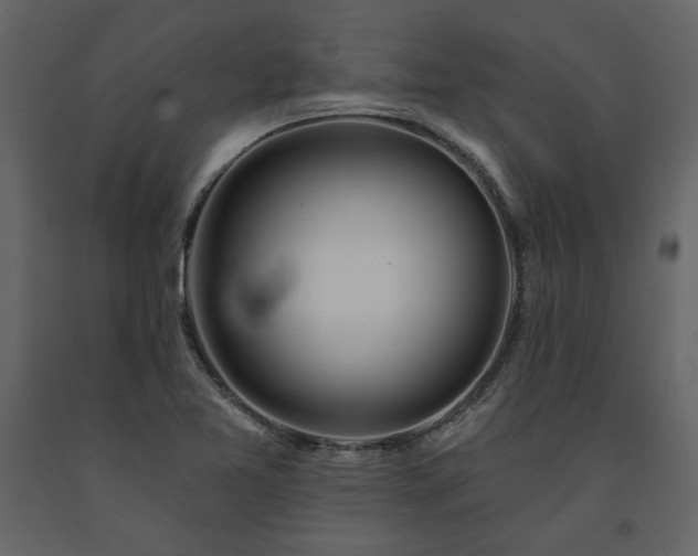 X0000091531365200708241702