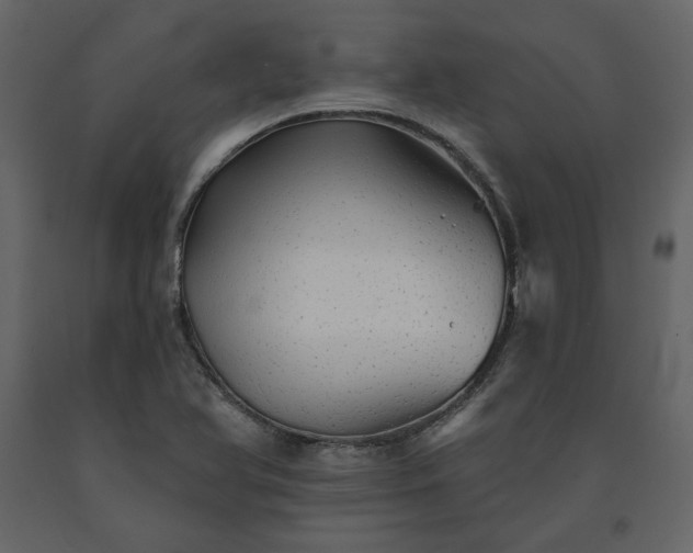 X0000091531366200708241702