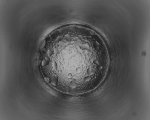 X0000091531367200708241702