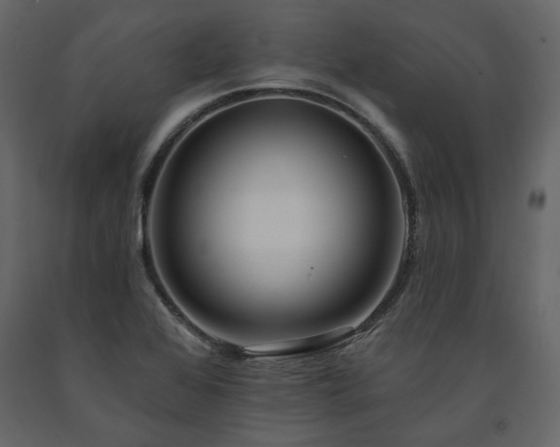 X0000091531368200708241702