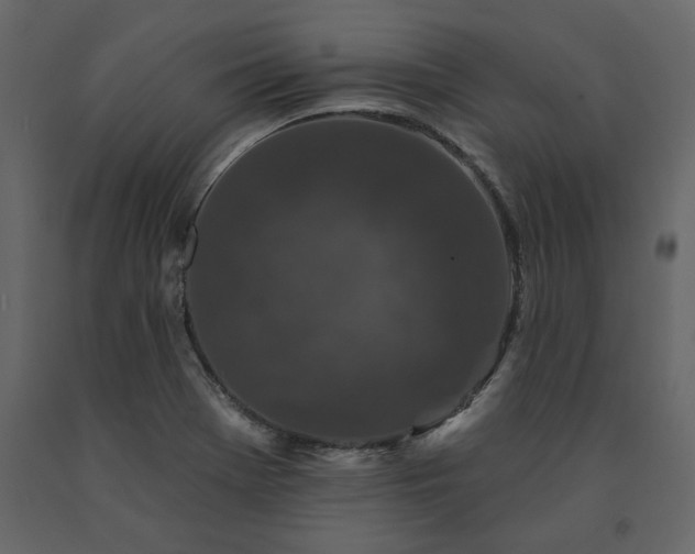 X0000091531369200708241702