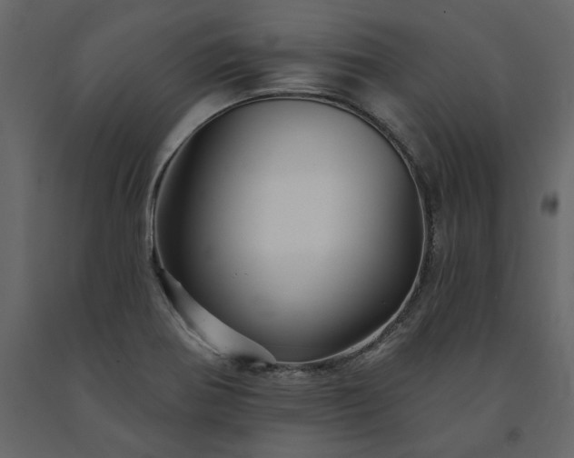 X0000091531370200708241702
