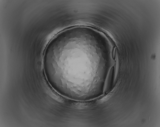 X0000091531371200708241702