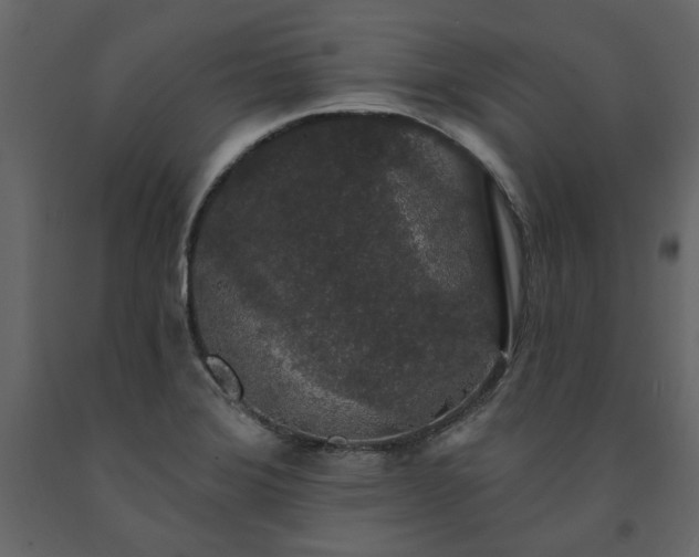 X0000091531372200708241702