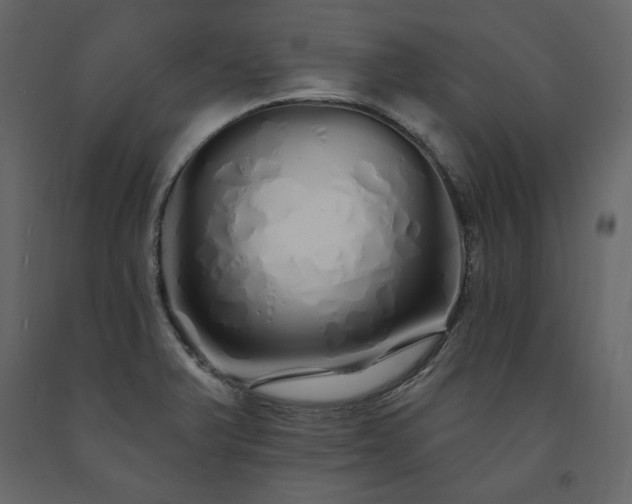 X0000091531375200708241702