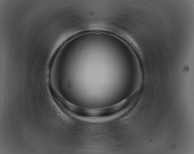 X0000091531376200708241702