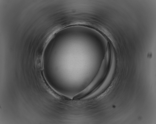 X0000091531377200708241702