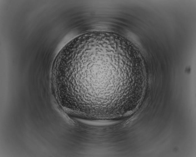 X0000091531378200708241702