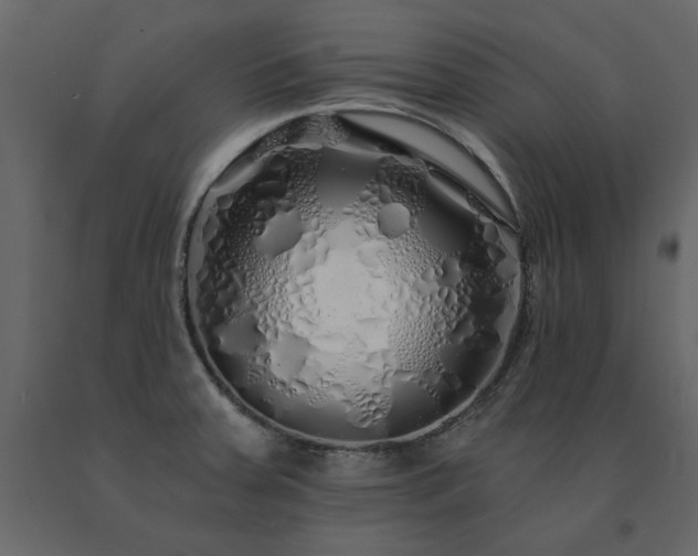 X0000091531379200708241702