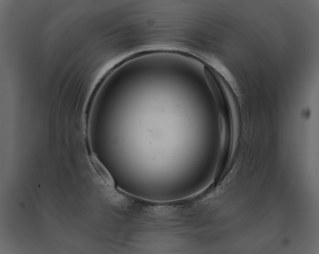 X0000091531380200708241702