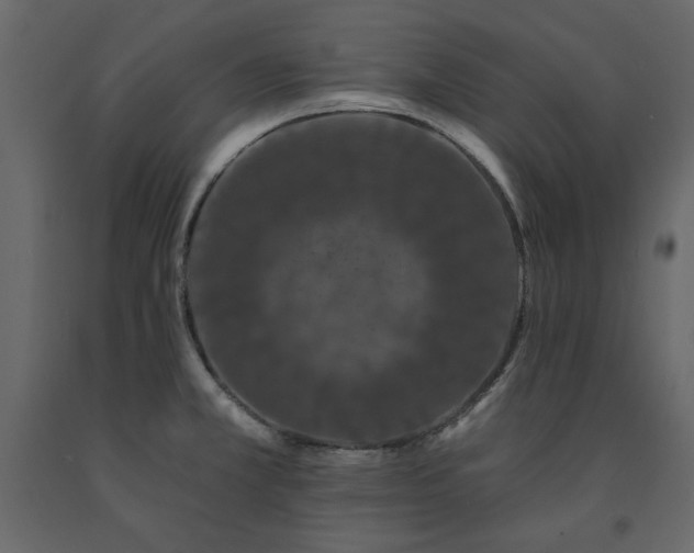 X0000091531381200708241702