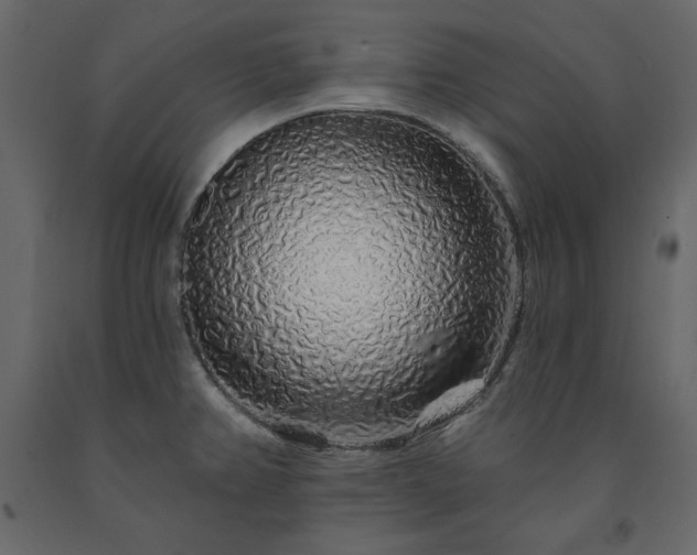 X0000091531382200708241702