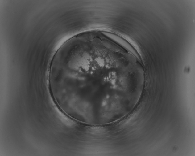 X0000091531383200708241702