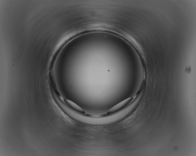 X0000091531384200708241702