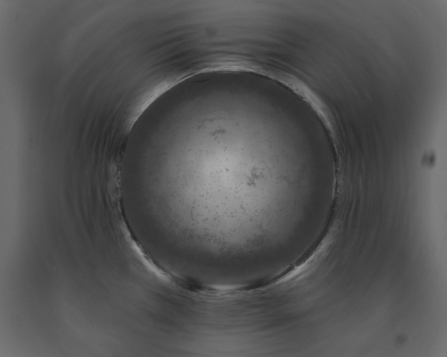 X0000091531385200708241702