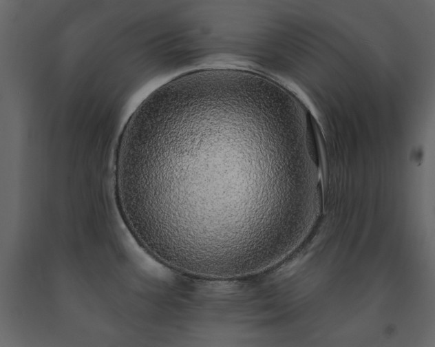 X0000091531387200708241702
