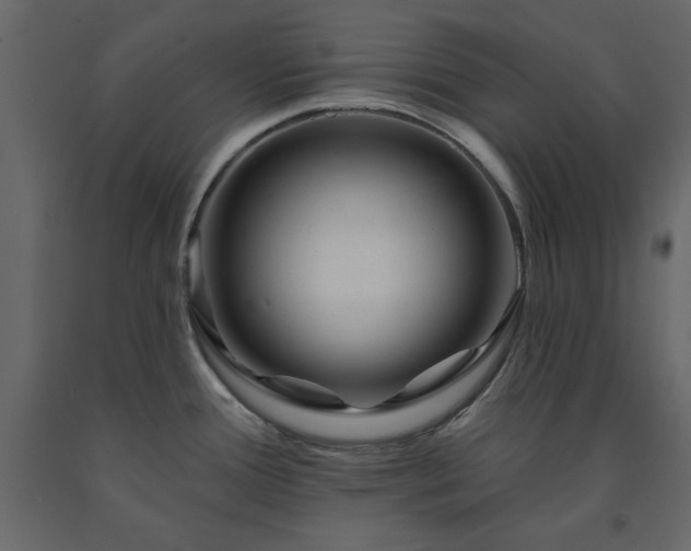 X0000091531388200708241702