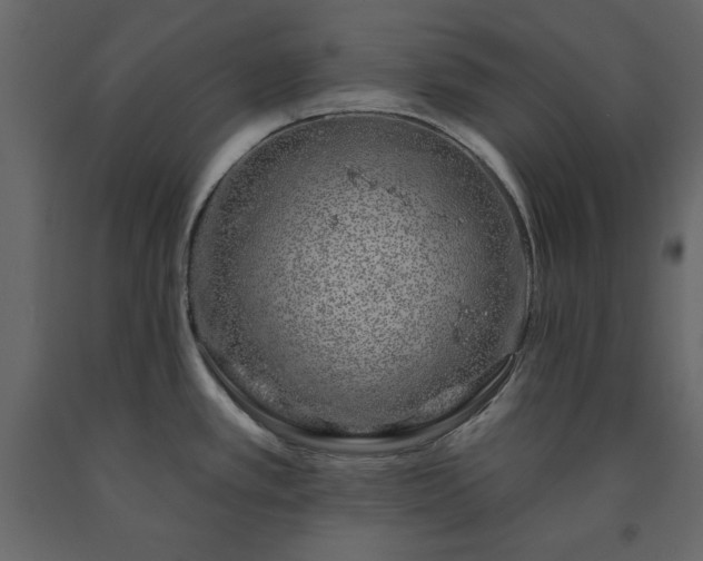 X0000091531389200708241702