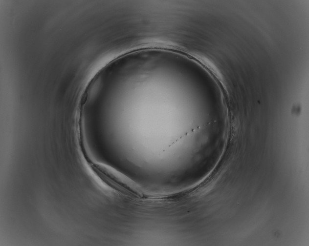 X0000091531391200708241702