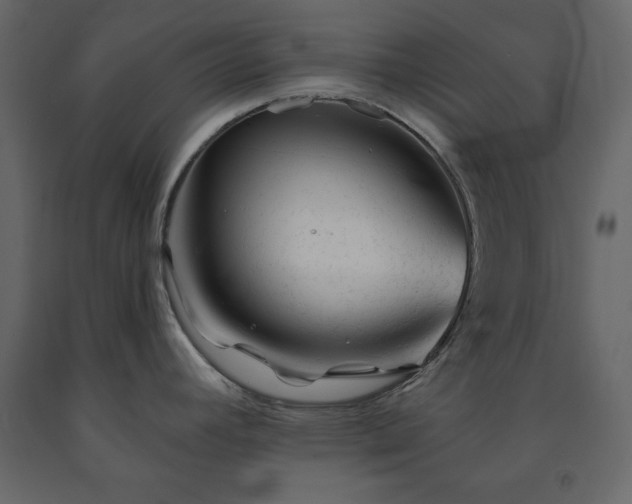 X0000091531392200708241702