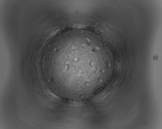 X0000091531393200708241701