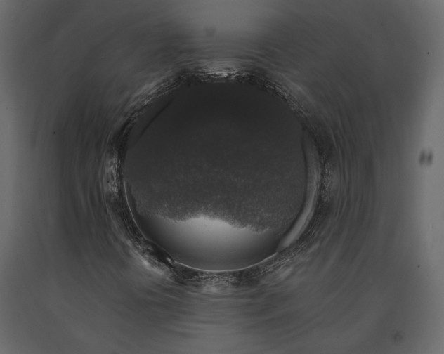 X0000091531394200708241701