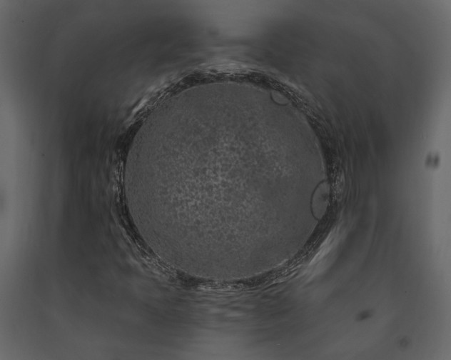 X0000091531397200708241701
