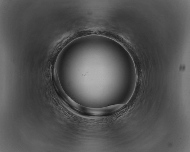 X0000091531398200708241701