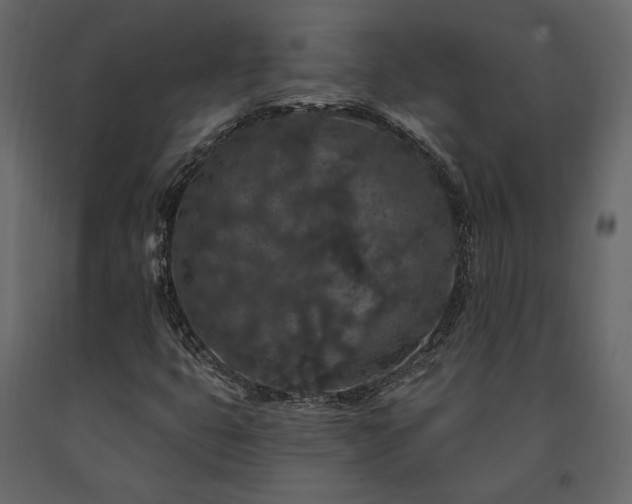 X0000091531399200708241701