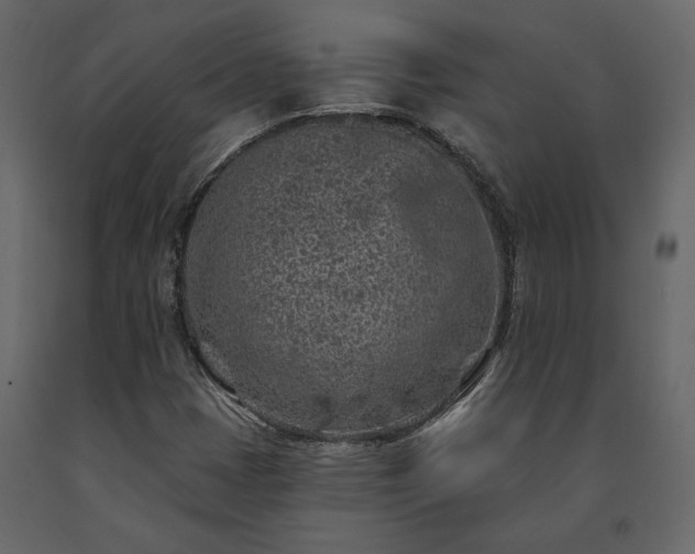 X0000091531401200708241701