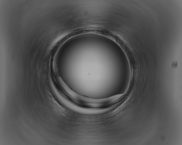 X0000091531402200708241701