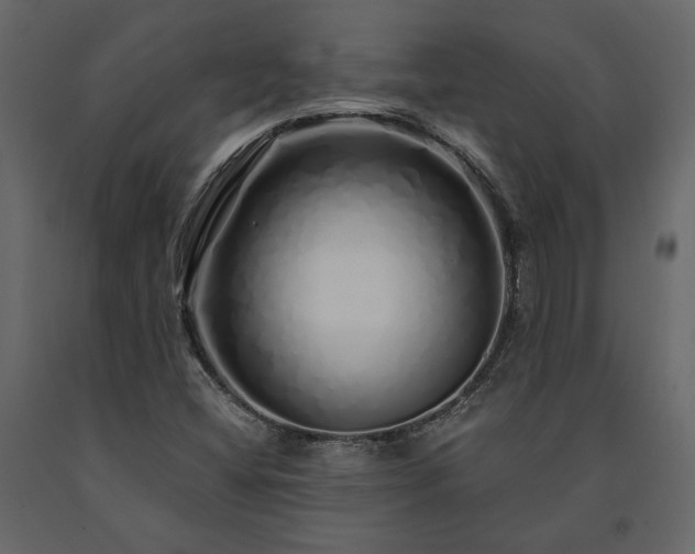 X0000091531404200708241701