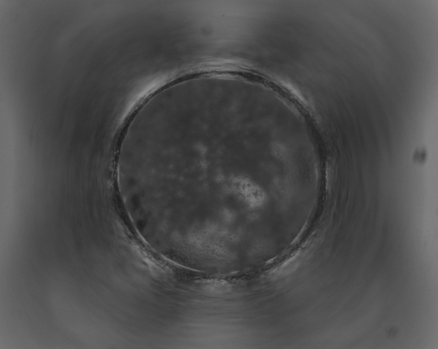 X0000091531405200708241701