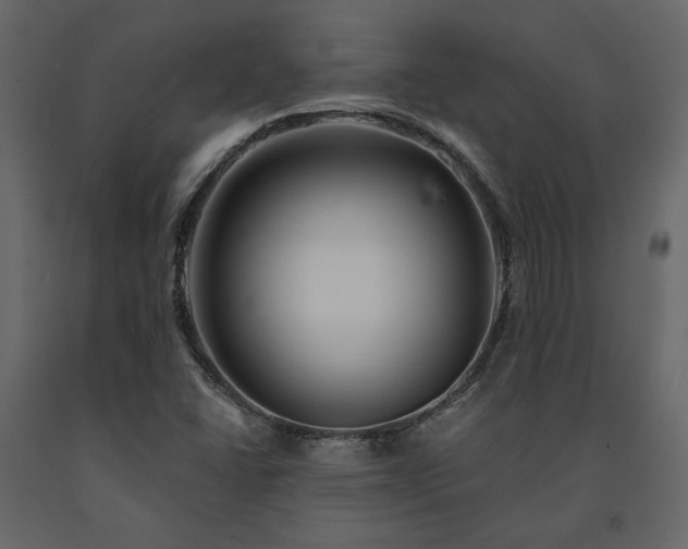 X0000091531406200708241701
