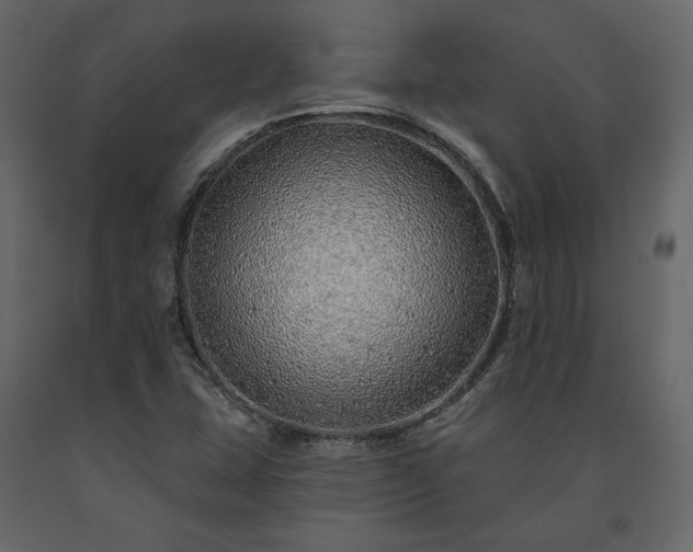 X0000091531407200708241701