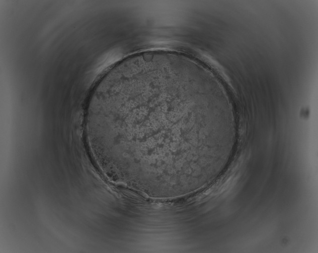 X0000091531411200708241701