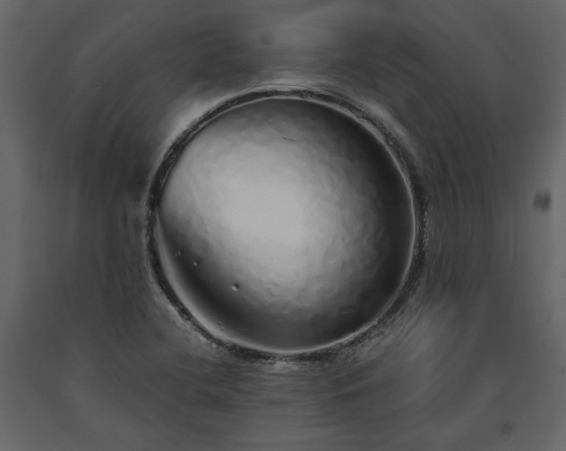 X0000091531412200708241701