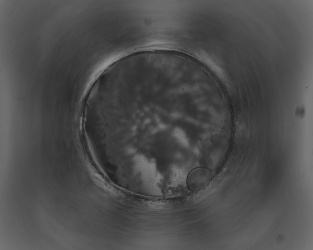 X0000091531413200708241701