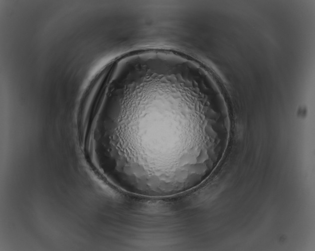 X0000091531416200708241701