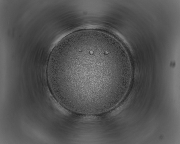 X0000091531417200708241701