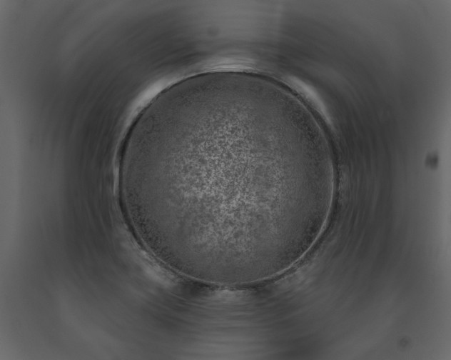 X0000091531419200708241701