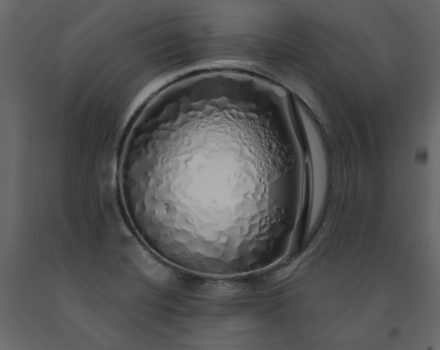 X0000091531420200708241701