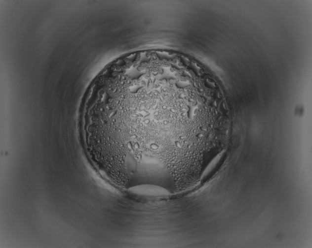 X0000091531423200708241701