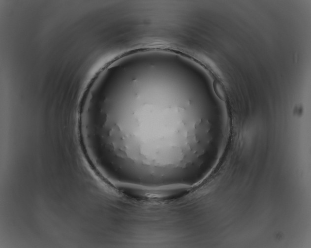 X0000091531424200708241701