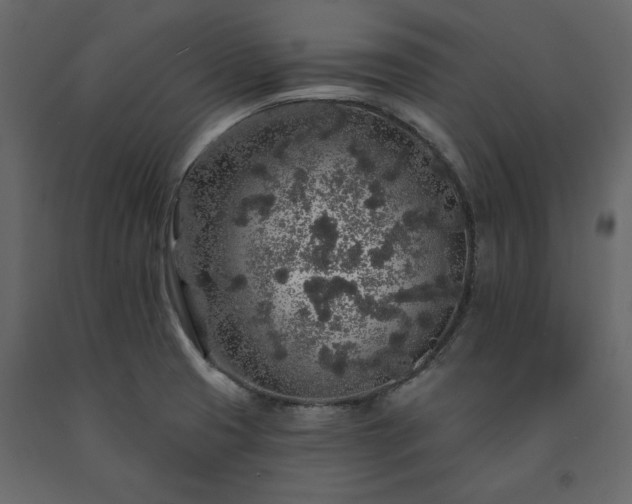 X0000091531425200708241701